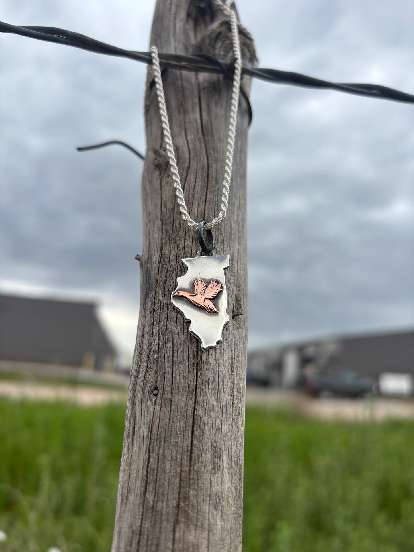 The Migration Pendant